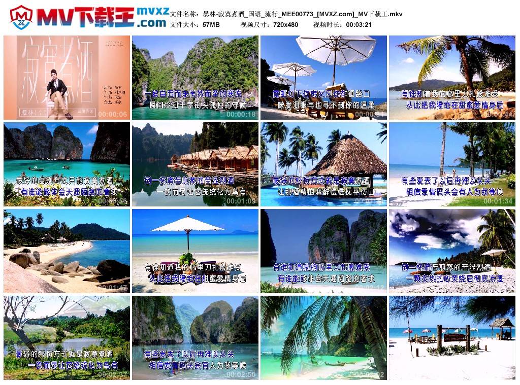 暴林-寂寞煮酒_国语_流行_MEE00773